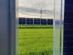 Blick zwischen zwei Agri-PV anlagen auf ein Feld auf dem auch Agri-PV Elemente stehen.