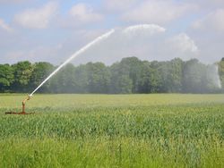 Mehr Wasser für den Pflanzenbau? – Herausforderungen und Ansätze
