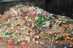 Less is more: reducing food losses and waste