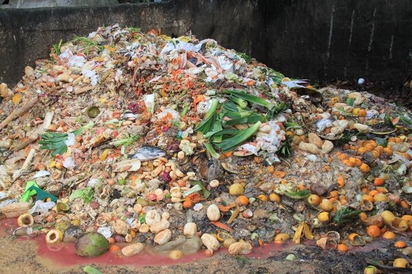 Ein Berg Lebensmittelabfälle unter anderem Brötchen, Brot, Zitrusfrüchte, Äpfel, Porree und Fisch