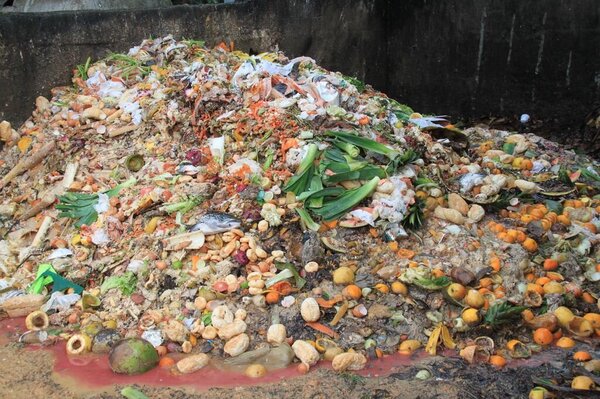 A mountain of food waste, including bread rolls, bread, citrus fruit, apples, leeks and fish