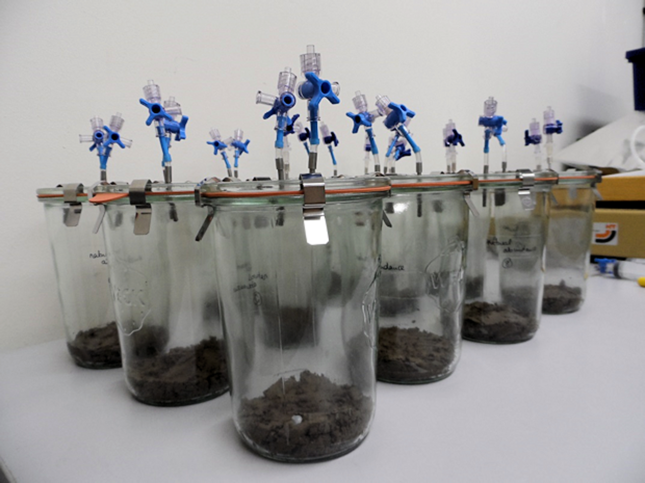 Anaerobe Bodeninkubationen mit Wachstumshemmstoffen für Bakterien und Pilze zur Untersuchung der N2O-Produktion durch Pilze.
