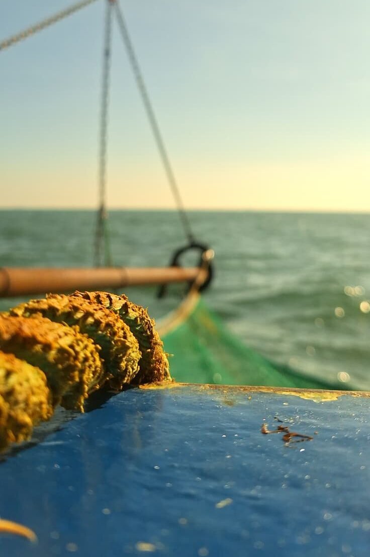 Blick über das Schiffsdeck auf die sonnig beschienene See.