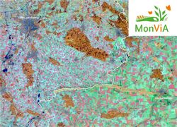 Monitoring biological diversity in agricultural landscapes with remote sensing