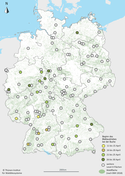 Eine Karte als Grafik über den durchschnittlichen Blattaustrieb der Rotbuche, mit verschieden farbigen Punkten.