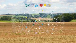 Nexus zwischen Biodiversität, Landwirtschaft, Wasser, Klima und Gesundheit auf regionalen bis globalen Skalen (NEXUS)
