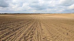 Auswirkungen der Erosion auf den Stickstoffumsatz und die Stickstoffspeicherung im Boden
