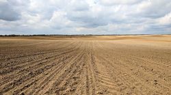 Erosion Impact on Nitrogen Turnover and Retention in Soil