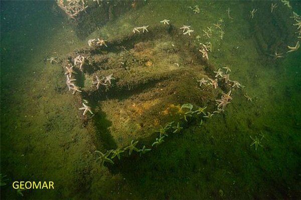 Eine von Seesternen besiedelte Munitionskiste am Meeresgrund. 