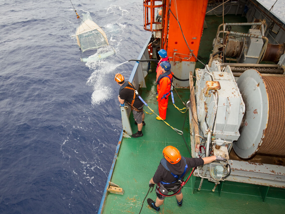 Das IKMT-Netz kommt hoch.