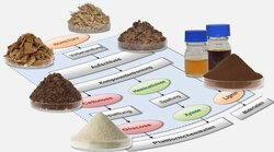 Biomasseaufschluss und Fasergewinnung