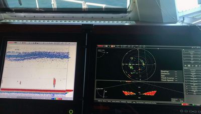 Activity on the displays of the echo sounder and sonar during a fishing haul