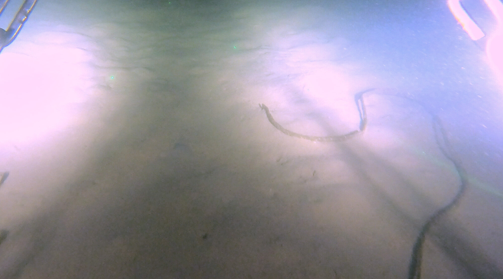 Aufnahme des Meeresbodens mit einem Videoschlitten.