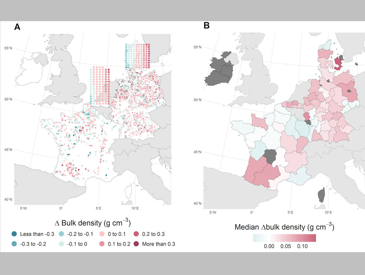 Eine Abbildung, die die geschätzte Veränderung der Untergrunddichte für jeden jährlichen Ackerstandort und die geschätzte mittlere Veränderung der Untergrunddichte für jede Region zeigt.