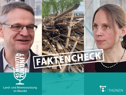 FAKTENCHECK: Können wir mit Holzprodukten das Klima schützen?