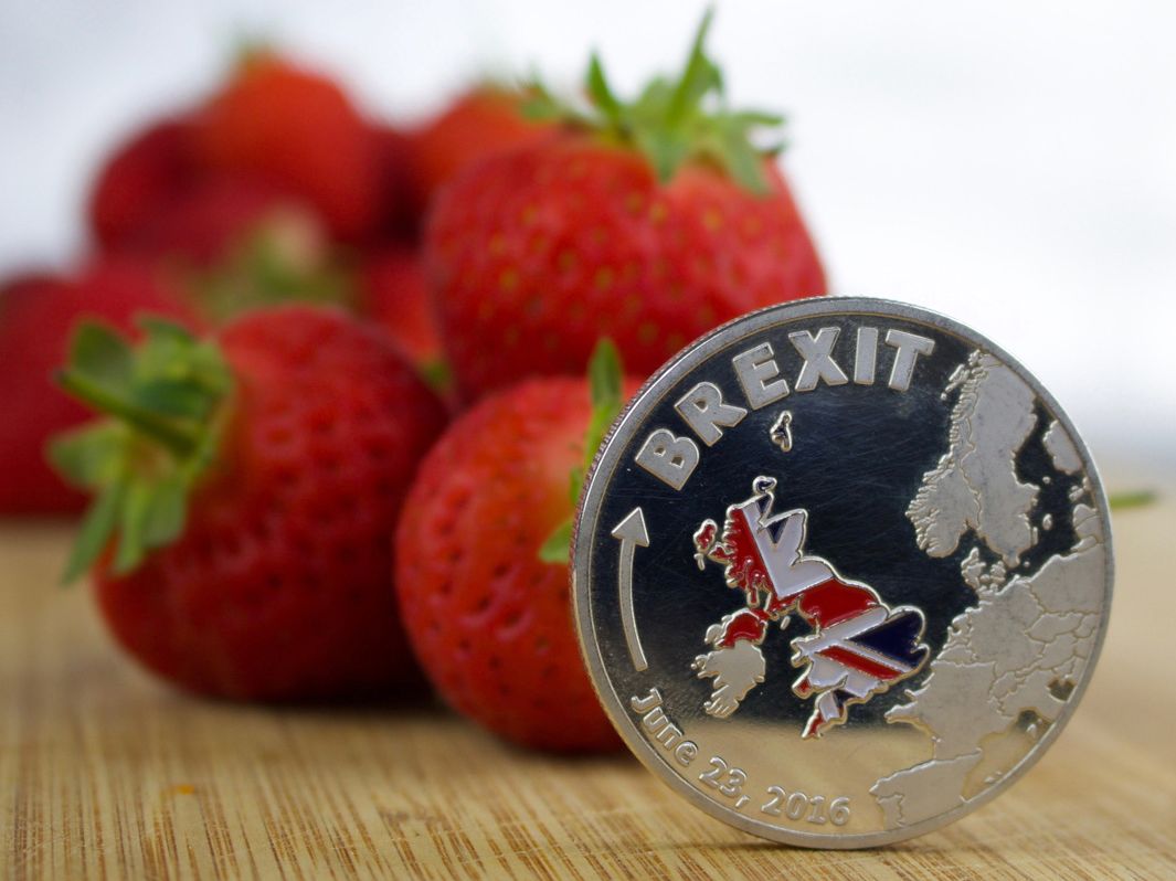 Eine silberne Münze mit dem Schriftzug "BREXIT" und einer Europarkarte mit dem farbig markierten Großbrittanien vor frischen Erdbeeren