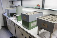 Clay boxes equipped with samples for pF measurement