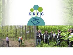 KKEG: Climate protection in small private forests – for owners and society