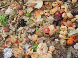 Wenn Lebensmittel doch mal übrig sind und niemand sonst sie möchte – wohin damit?