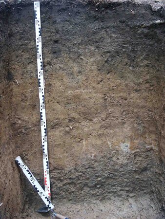 Soil profile