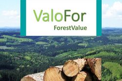 ValoFor/ForestValue