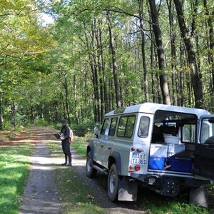 Humus recordings on transects in Saxon forests.