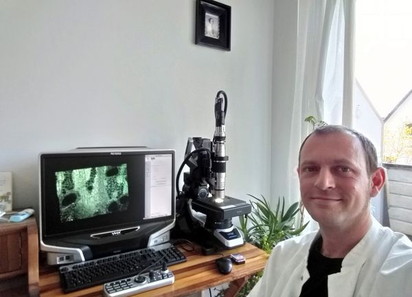Monitor und Mikroskop zur anatomischen Holzartenbestimmung, eine Person