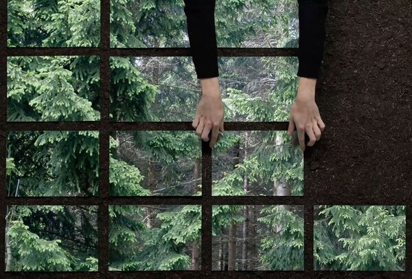 Ein aus 16 Teilen bestehendes Tannenbild wird auf einem schwarzen Hintergrund zusammengestetzt, es fehlen noch 3 Teile