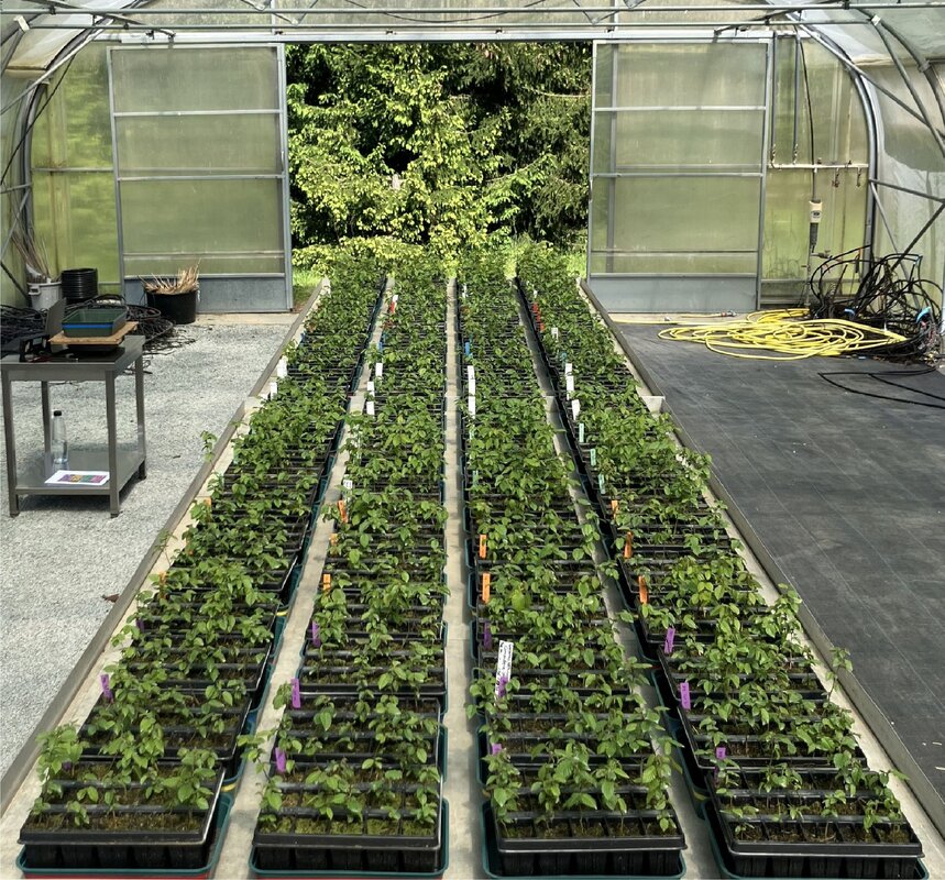 Versuchsaufbau zu Beginn