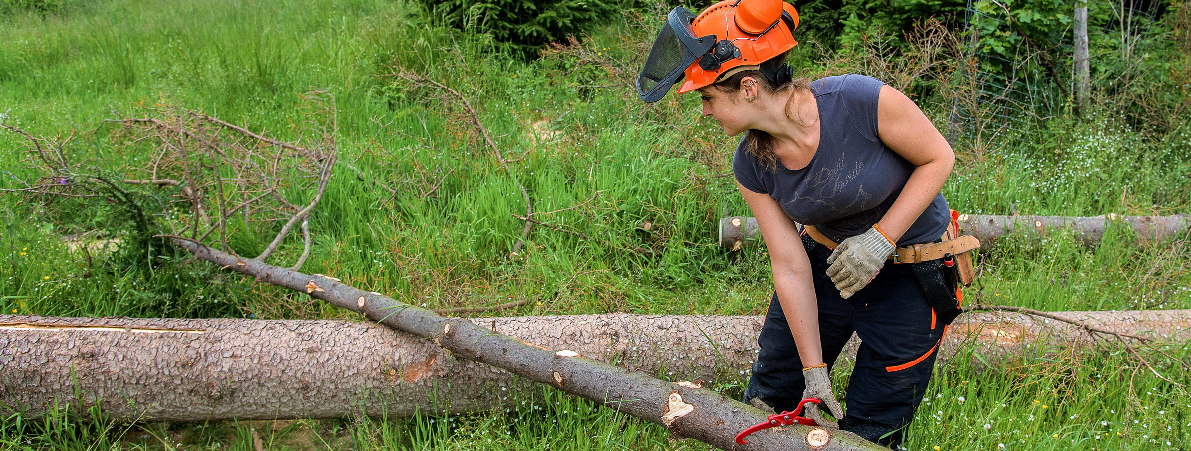 Eine Forstarbeiterin untersucht gefällte Bäume.