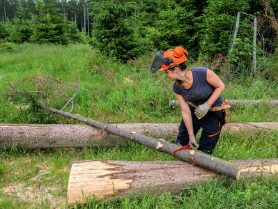 Eine Forstarbeiterin untersucht gefällte Bäume.