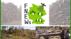 Fernerkundungsbasiertes Nationales Erfassungssystem Waldschäden