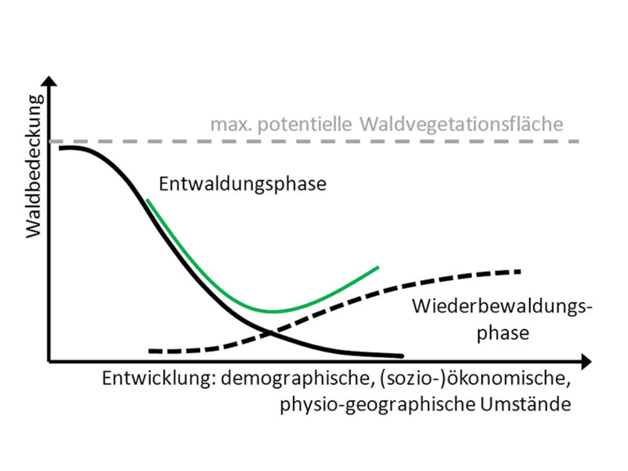 Das Muster der Waldflächenentwicklung, abgeleitet aus der Forest Transition Hypothese.