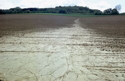 Agrarrelevante Extremwetterlagen und Möglichkeiten des Risikomanagements