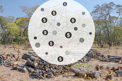 Methodenleitfaden zur Erfassung von Politikkohärenz und öffentliche Ausgaben