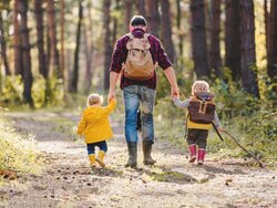 Warum Waldnutzung auch Klimaschutz ist