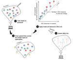 General concept for quantifying treatment effects by data-driven reciprocal modelling. 
