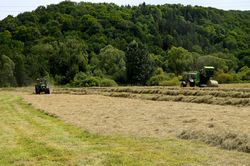 Nature conservation value of low intensity hay meadows in Baden-Württemberg