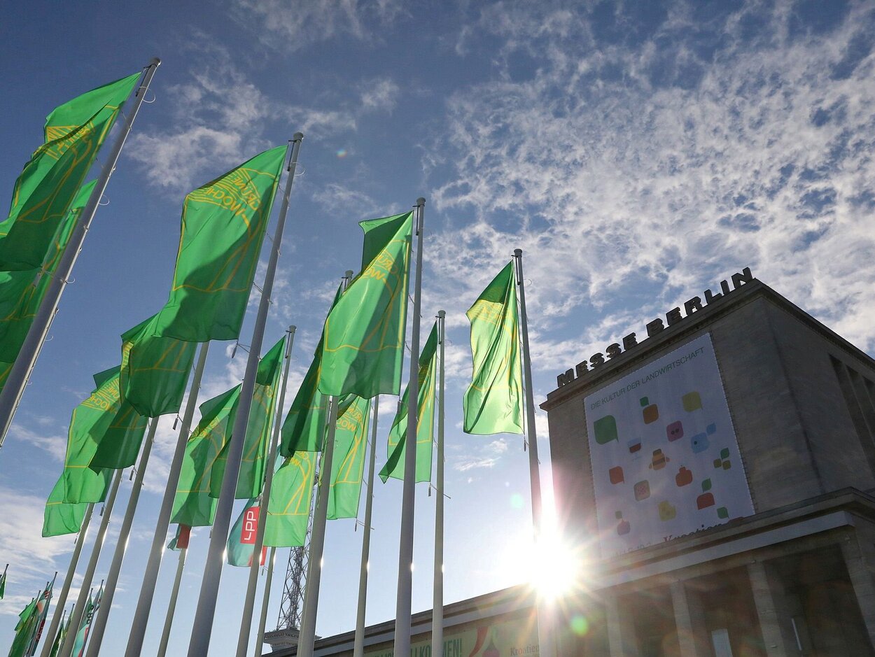 Foto des Nordeingangs des Berliner Messegeländes im Gegenlicht mit wehenden Grüne-Woche-Fahnen.