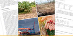 A collage of four motifs, top left a palm oil plantation, top right rainforest deforestation, bottom left view of Hamburg harbor with container bridges and container ship, bottom right a basket full of red coffee beans and two hands with coffee beans