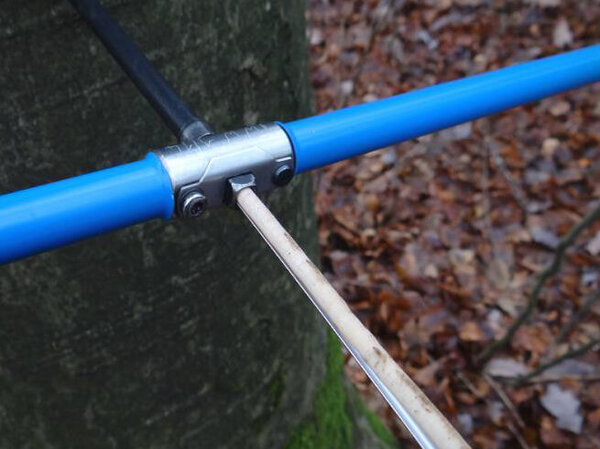 Tree cores are taken from the trunk.