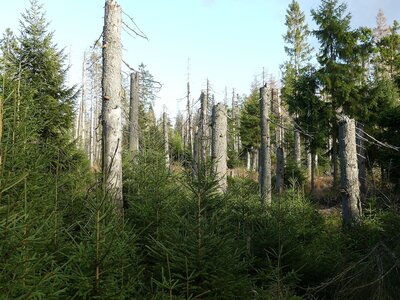 [Translate to English:] 