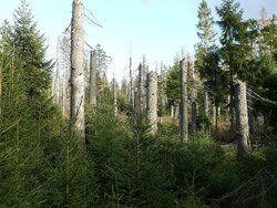 Von der Senke zur Quelle 2024