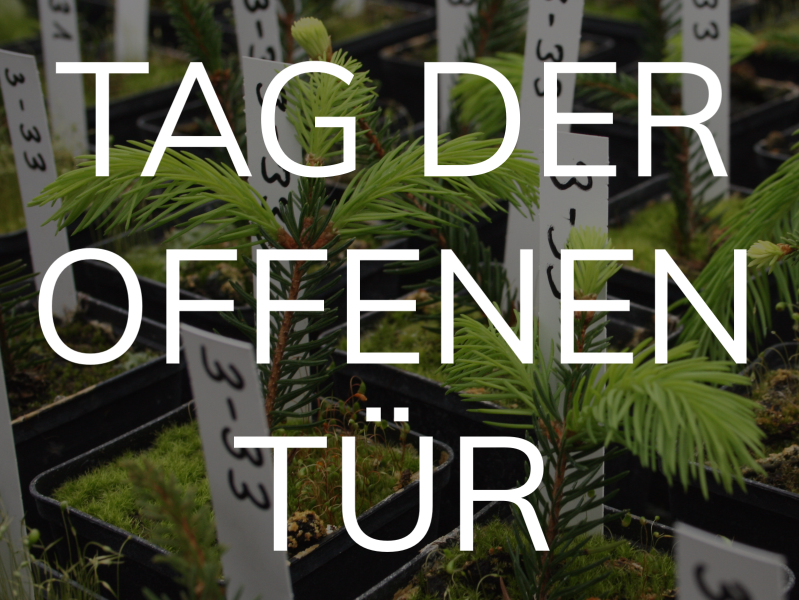 Pflanztöpfe, darüber die Schrift "Tag der offenen Tür"