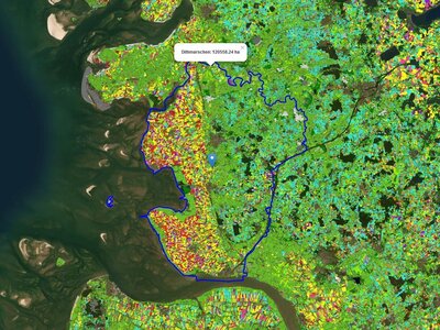 Satellitenkarte des Landkreises Dithmarschen, Schleswig-Holstein, mit Landnutzungsarten in verschiedenen Farben.