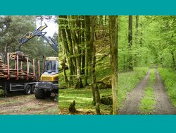 WEHAM-Szenarien - Arbeitspaket 1: Stakeholderbeteiligungsprozess