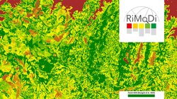 RiMoDi - risikobasierter Monitoring-Dienst