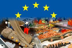 Sozio-ökonomische Effekte der Fischereipolitik (SOCIOEC)