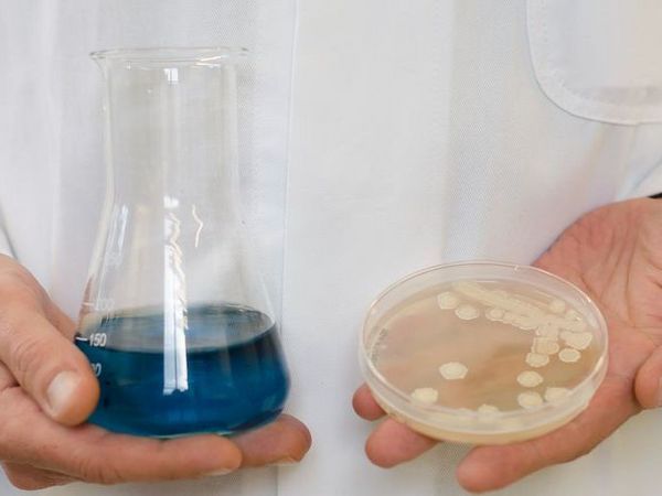 Eine Person in einem weißen Kittel hält ein Glasgefäß mit blauer Flüssigkeit und eine Petrischale mit einer Kultur