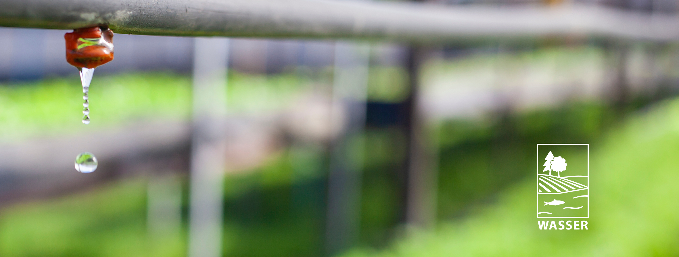 [Translate to English:] 